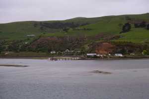 HARINGTON-POINT-DUNEDIN (10)